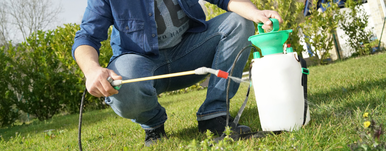 Improve your lawn - add a chemical feed